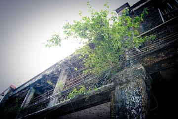 IMG_0723.jpg