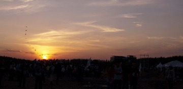 MIDI sunset