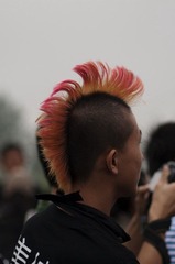 莫西干