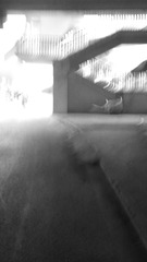 2013-04-17-0672.jpg
