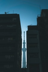1786461