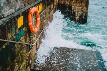 _DSC0866