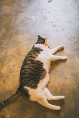 _DSC0823