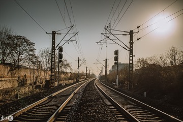 2160494