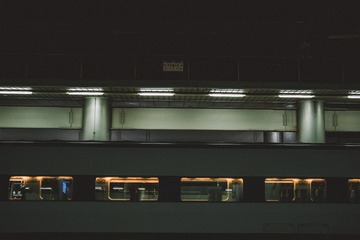_DSC3131