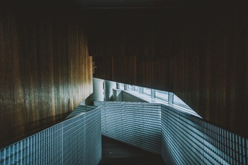_DSC2481