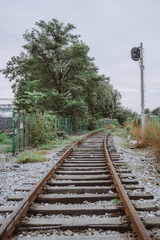 42226