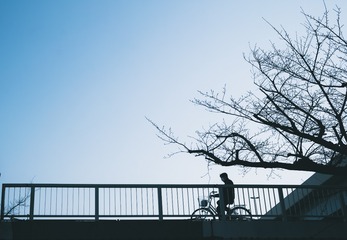 _DSC0414