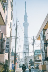 _DSC0447