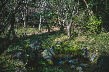 _DSC1299