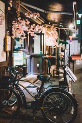 _DSC0033