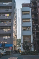 1786444
