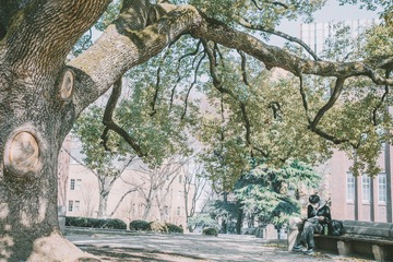 _DSC0749