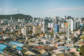 _DSC0809