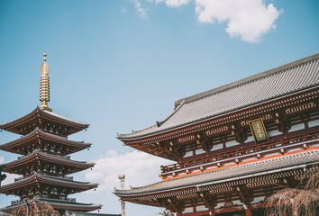 _DSC0644