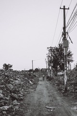 _DSC6538