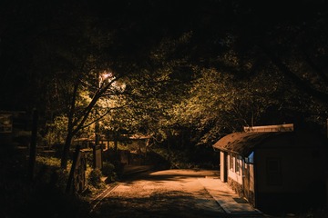 _DSC0716