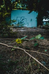 _DSC0863