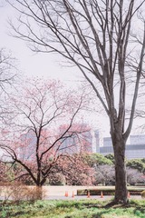 _DSC1374