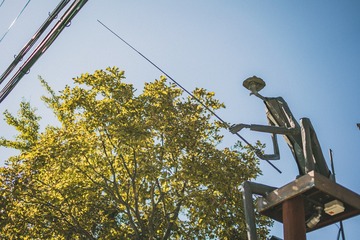 _DSC0822