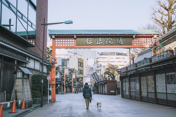 _DSC0338