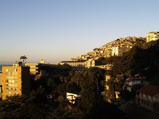_8081279.JPG