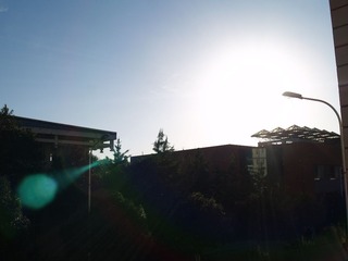 P5103891.JPG