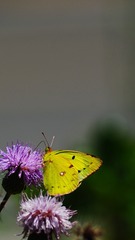 949885