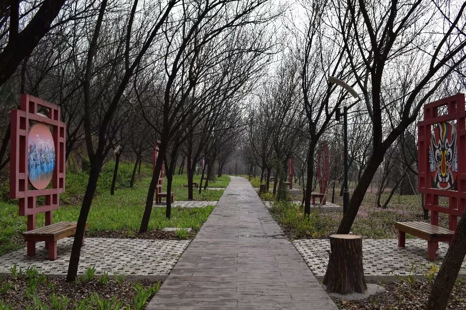 虢镇北坡森林公园 - 摩吃摩喝 - 图虫