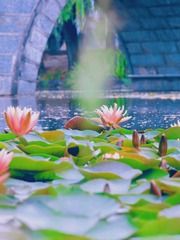 001