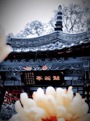 426A8E6C-6705-4B21-BD69-533050D20645/L0/001
