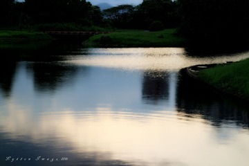 IMG_0006_