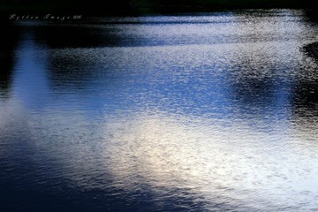 IMG_0010_6