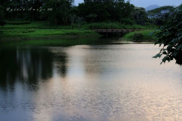 IMG_0016_
