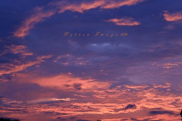 IMG_0201_