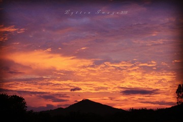 IMG_0196_2