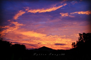 IMG_0194_