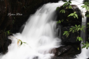 IMG_0864_