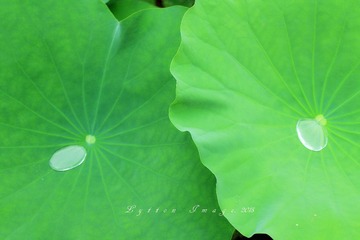 IMG_0141_