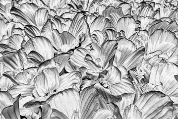 99E51EC5-F871-4A06-A5D3-E9B03EAE7F1E/L0/001