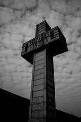 IMG_0842.jpg