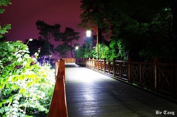IMG_0200.JPG