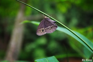 IMG_0269.JPG