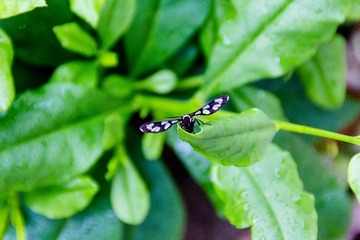 IMG_6477-1_副本.jpg