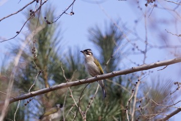 DSC00212_DxO