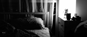 DSC00247-编辑-1.jpg