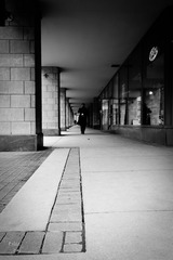 DSC00314-编辑-1.jpg