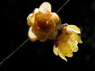 DSCF3404_