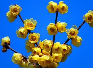 DSCF3327_
