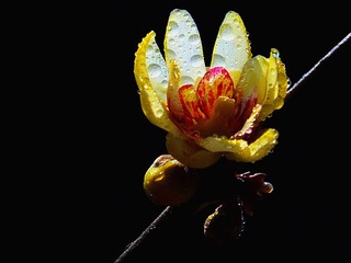 DSCF3401_